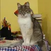 Отзыв от Людмила Гусева